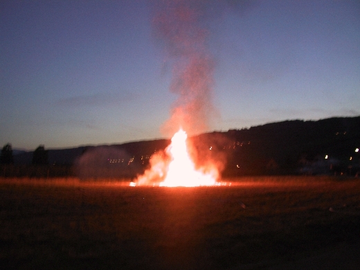 Image 029